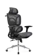 Glozin II Form Chair Brass Base