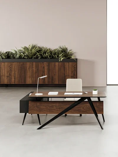 MAHAGNY MODERN MANAGER TABLE