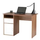 PATTREN MODERN STUDY DESK