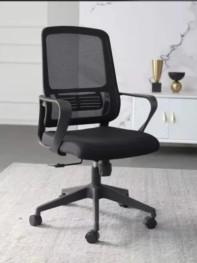 SOLE MODERN STAFF CHAIR